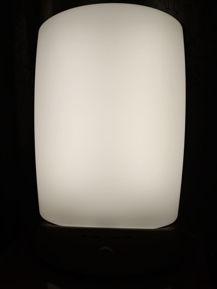Lampe luminoth�rapie Energylight PHILIPS HF3319/01 70 Lyon 8 (69)