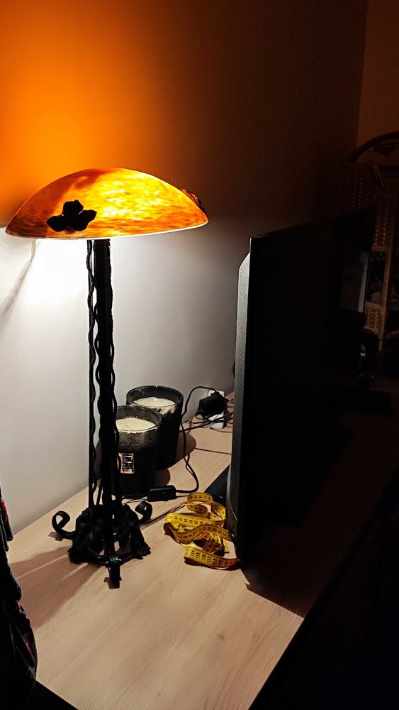 lampe Muller 480 Saint-P�ray (07)