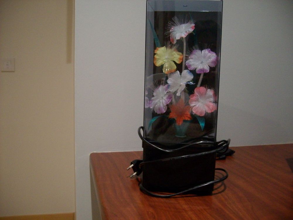 Lampe musicale 10 Valderi�s (81)