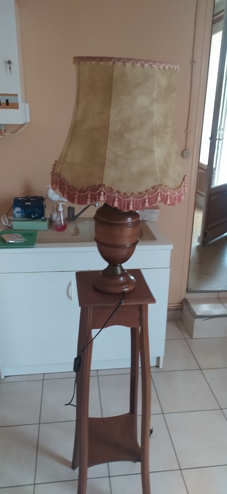 lampe de salon 19 Saint-Mars-la-Jaille (44)