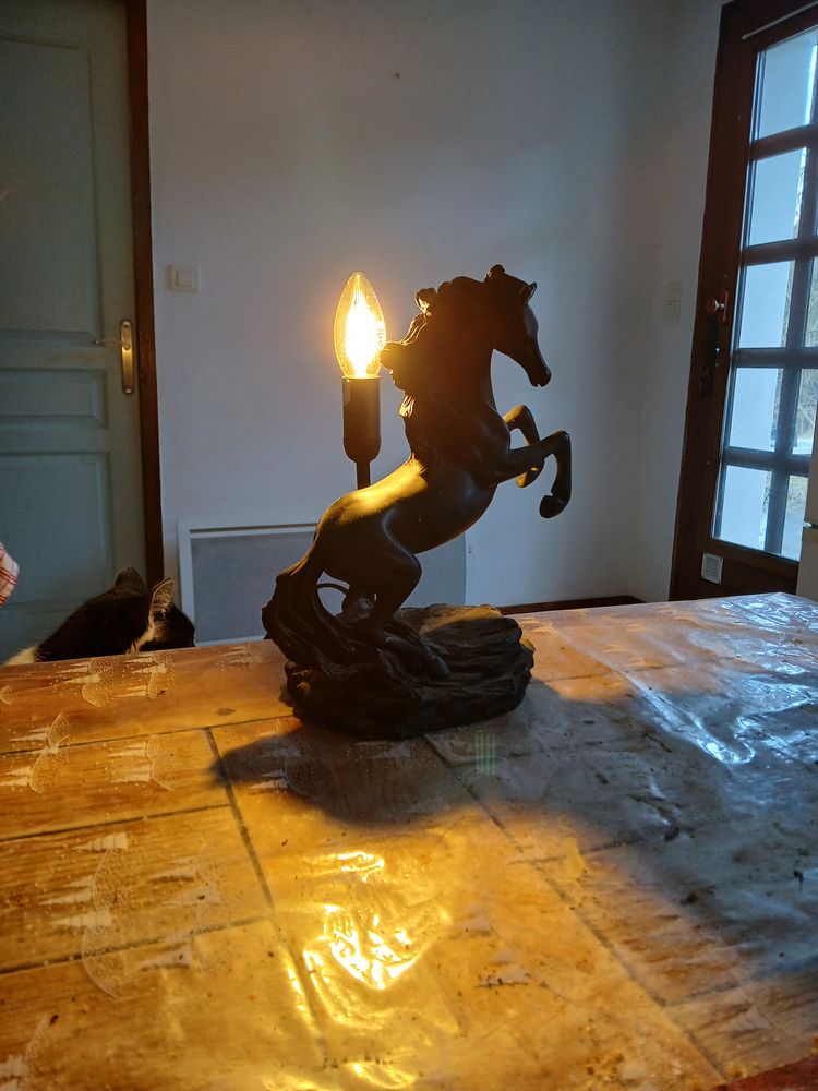 Lampe de salon 10 Morillon (74)