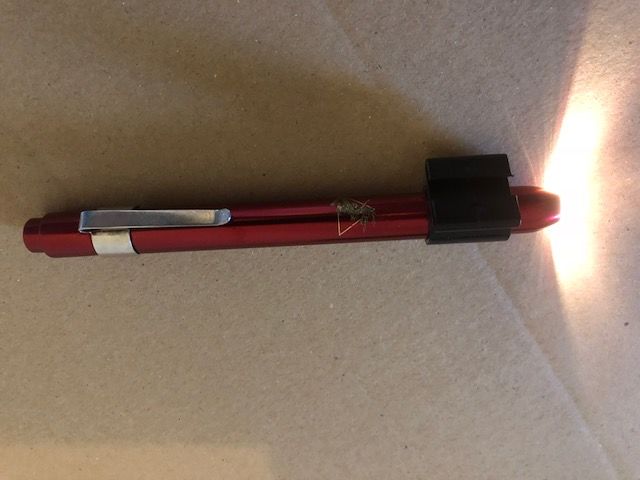 LAMPE STYLO DE POCHE COMME NEUVE  10�
LAMPE EXAMEN MEDICAL 
10 Saint-Lumine-de-Coutais (44)