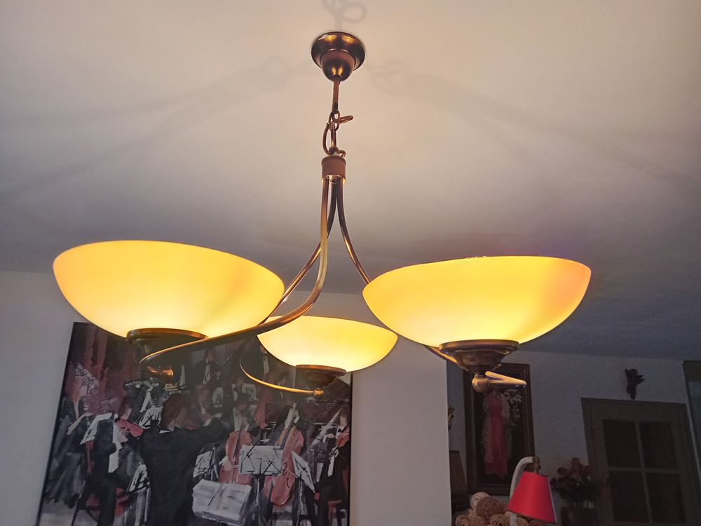 lampe suspension 30 Prunay-en-Yvelines (78)