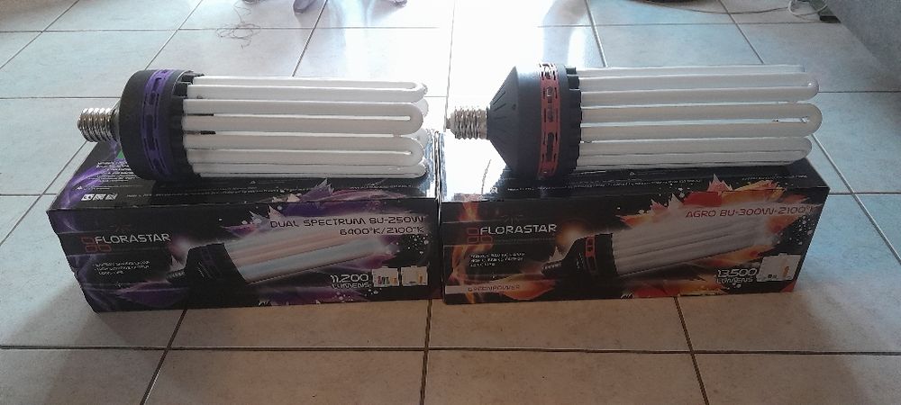 de 2 lampes CFL pour culture int�rieur 80 Terrasson-Lavilledieu (24)