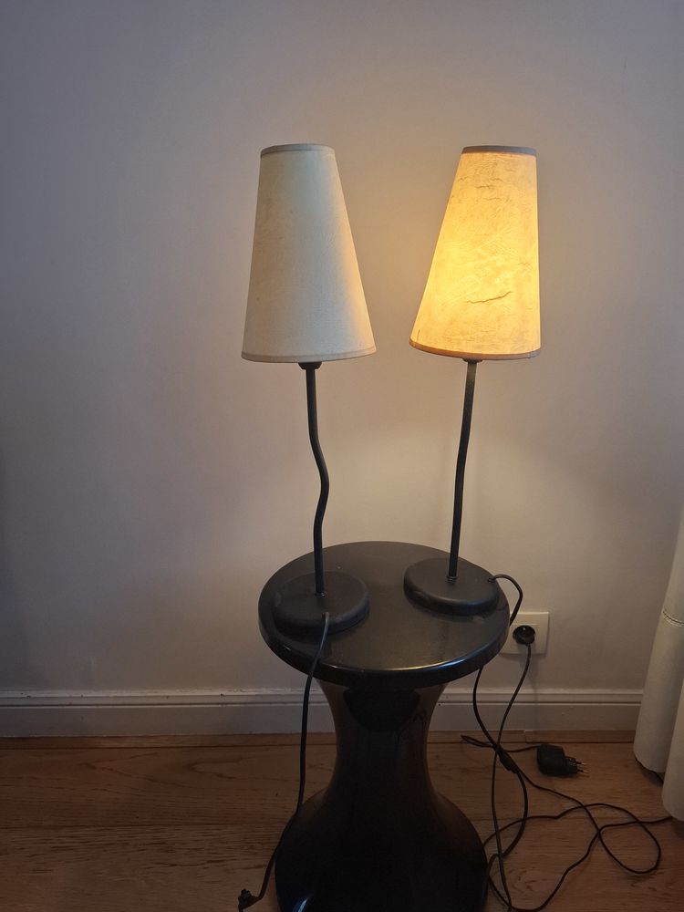 2 lampes 20 Biarritz (64)