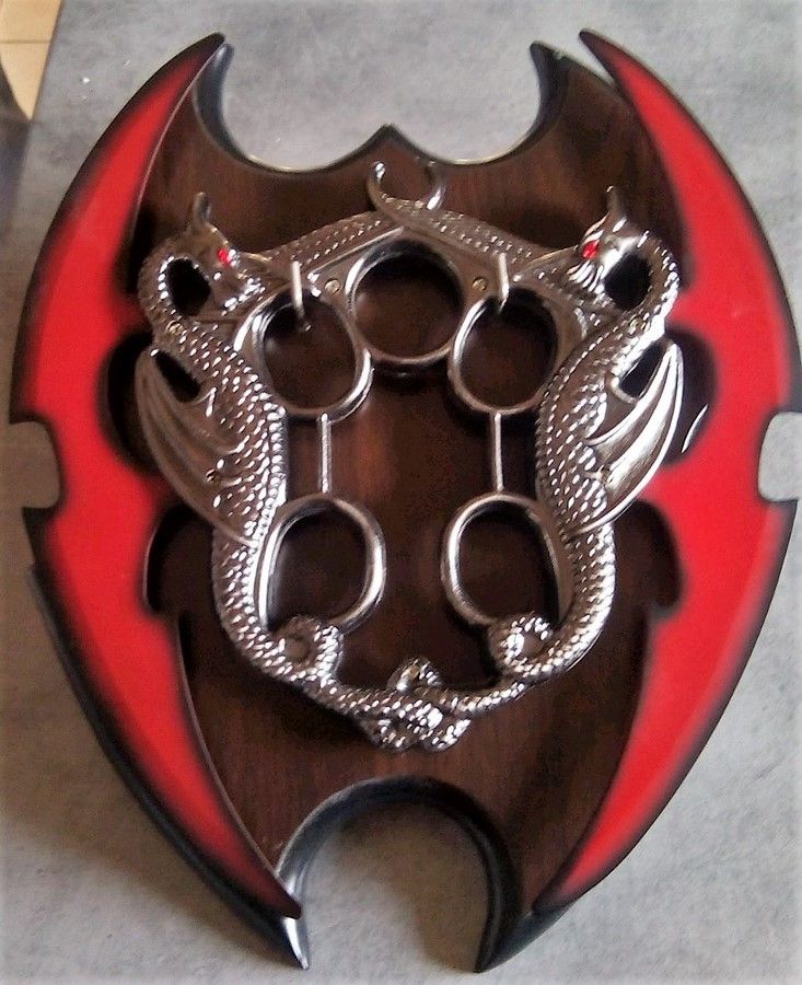 Lanceur dragon fist 15 Langueux (22)