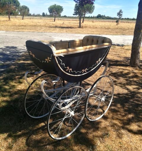 landau 300 Montauban (82)