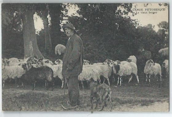 Landes pittoresque le vieux berger 3 Castel-Sarrazin (40)