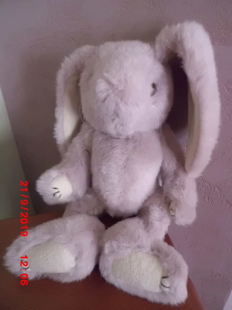 LAPIN BEIGE ARTICULE CP 16 Oignies (62)