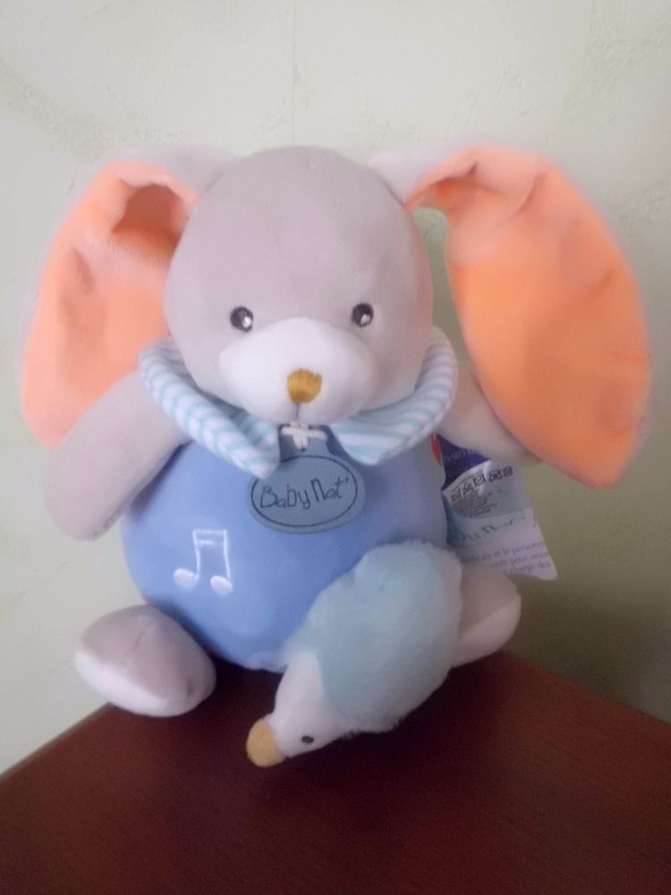 lapin musical baby nat 18 Oignies (62)