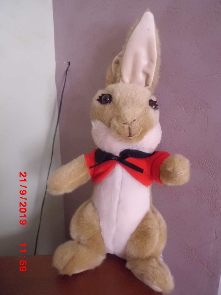 LAPIN PETER RABBIT 19 Oignies (62)
