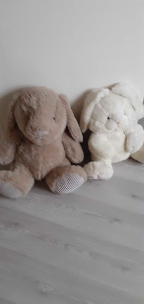 lapins en peluche 6 Fouilloy (80)