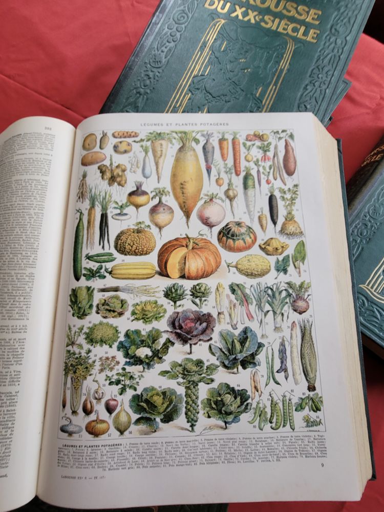 Larousse du XXeme Siecle 55 Vouzon (41)