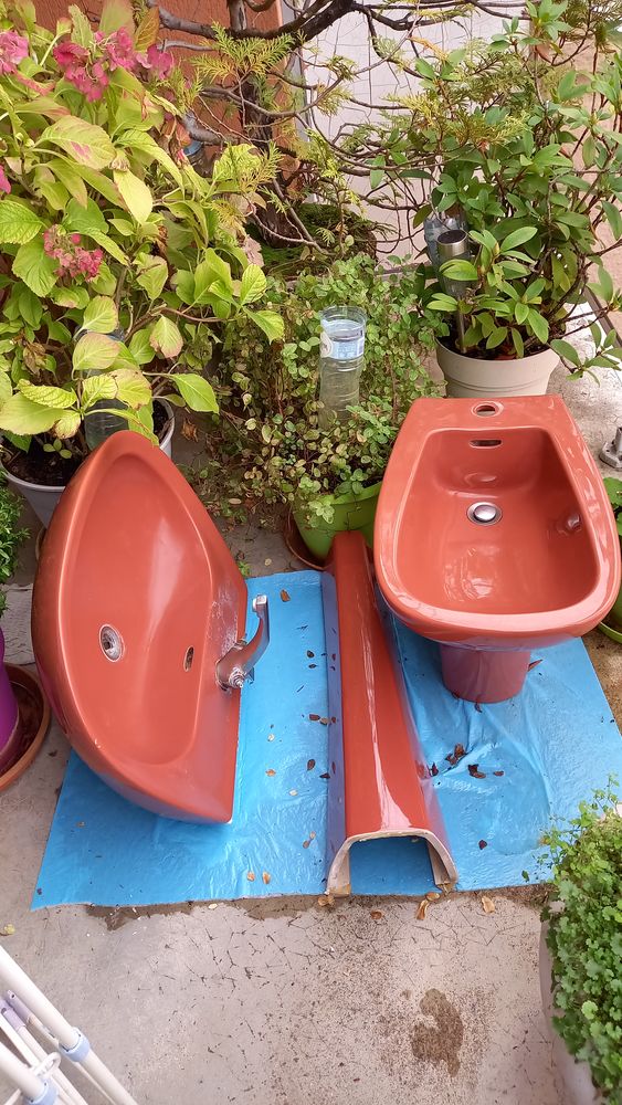 lavabo et ou bidet assorti Jacob Delafon vintage 90 Dijon (21)