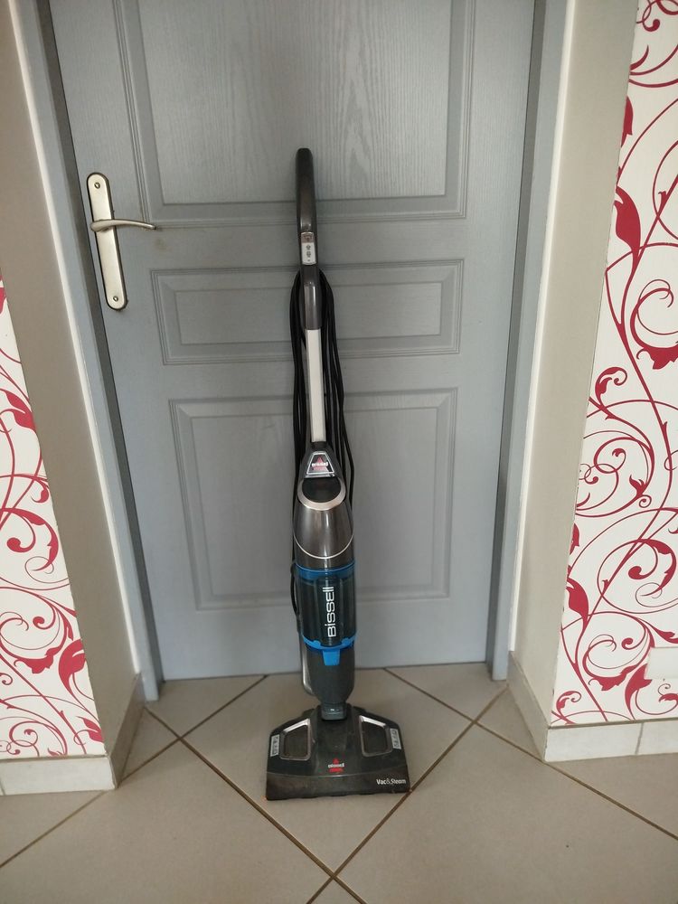 laveur-aspirateur Bissel 0 Ganges (34)