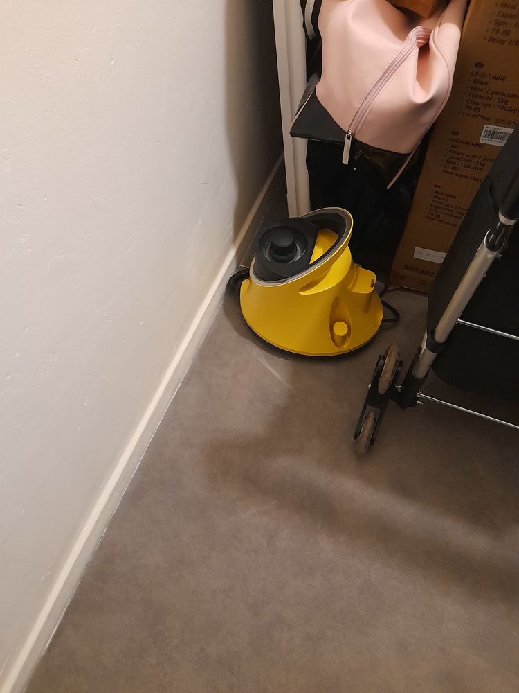 Laveur karcher d interieur 40 Saint-Max (54)