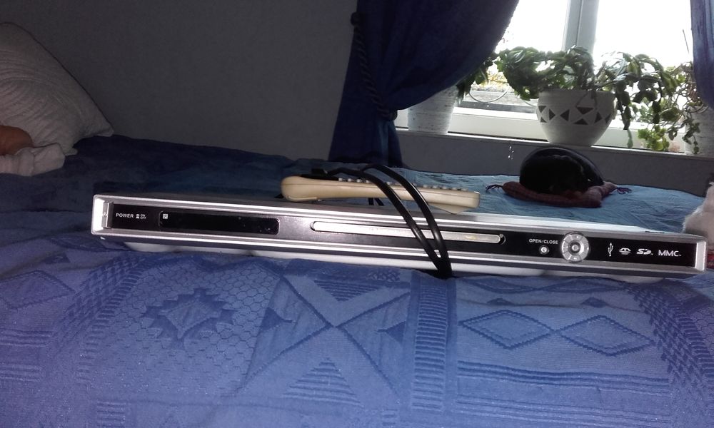 LECTEUR DVD 15 Saint-Gervais-les-Trois-Clochers (86)