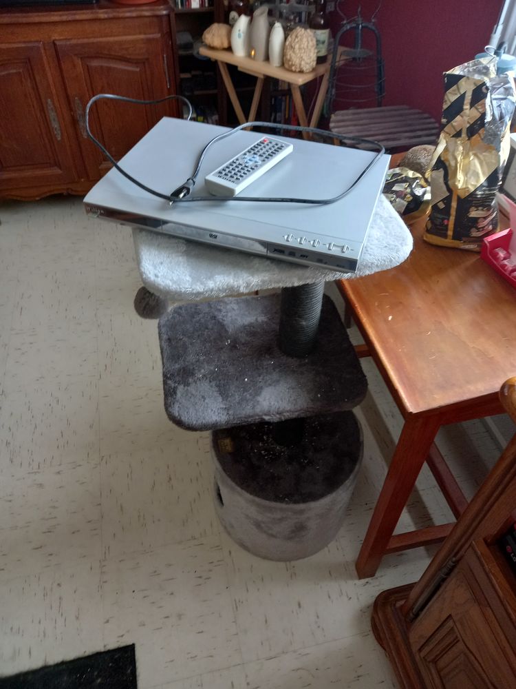 lecteur dvd 20 Mainsat (23)