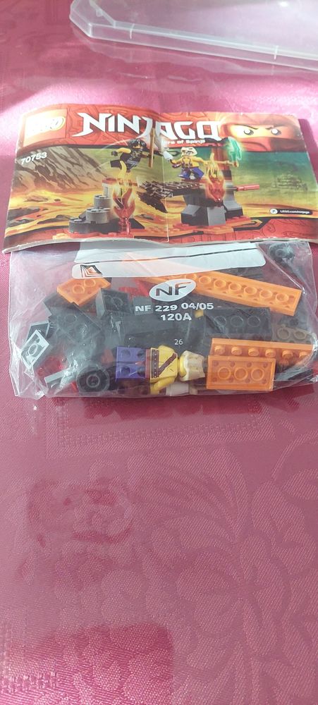 lego ninjago 25 Breuillet (91)