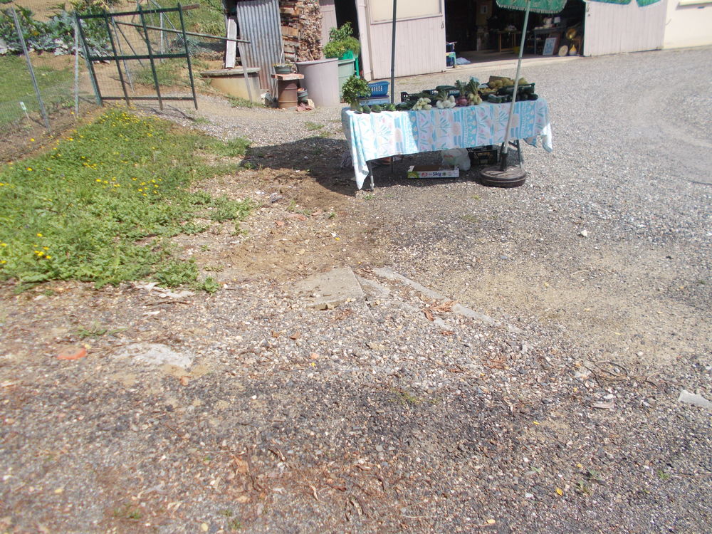 L�gumes fraichement cueillis 1 Pavie (32)