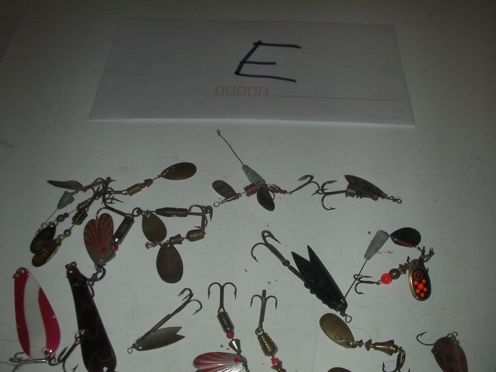 Leurres de p�che s�rie E 20 Roques (31)