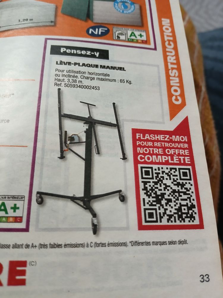 L�ve plaque et taille haie essence 110 Pessac (33)