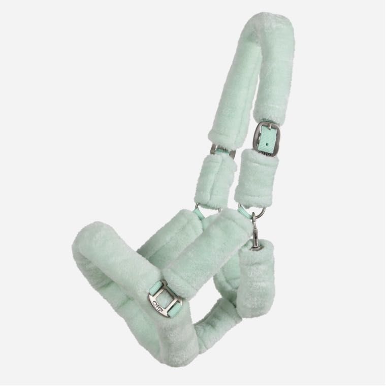 licol shetland 18 Tessy-sur-Vire (50)