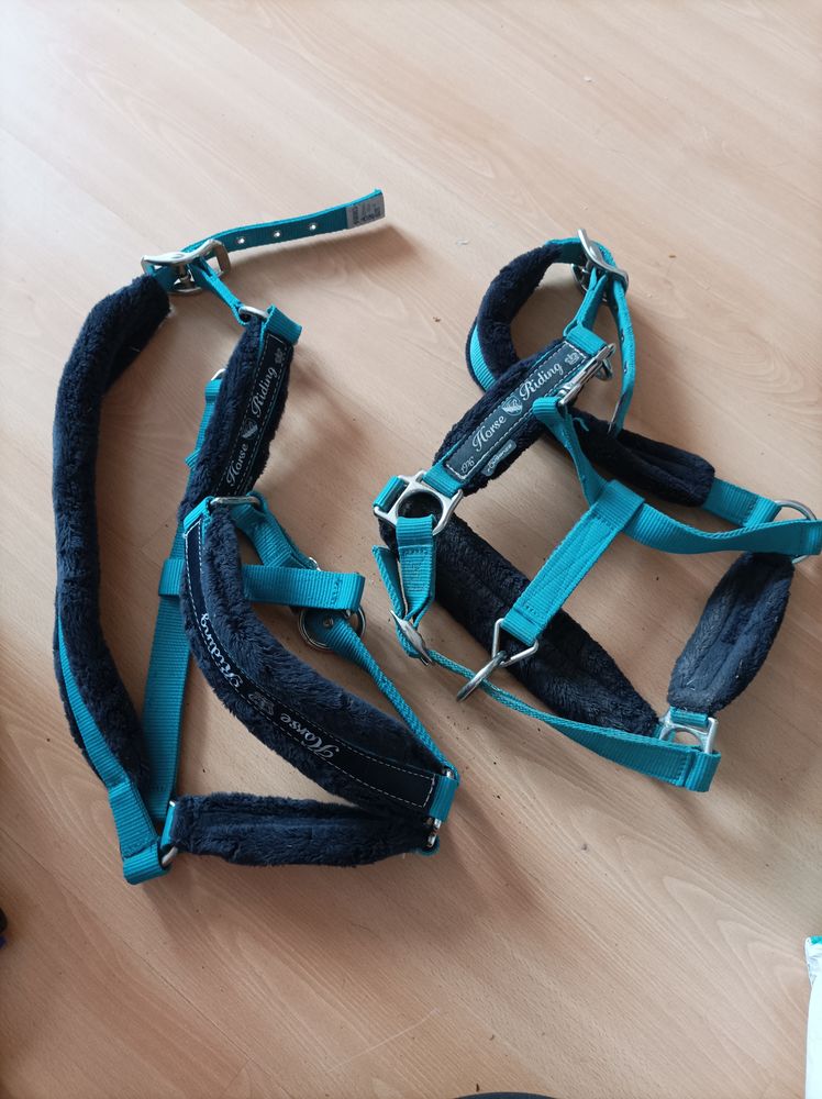 Licorne 15 Dreux (28)