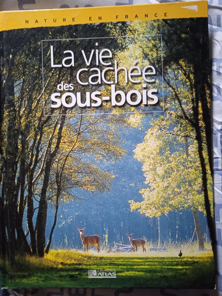 liivre nature 6 Huisseau-en-Beauce (41)