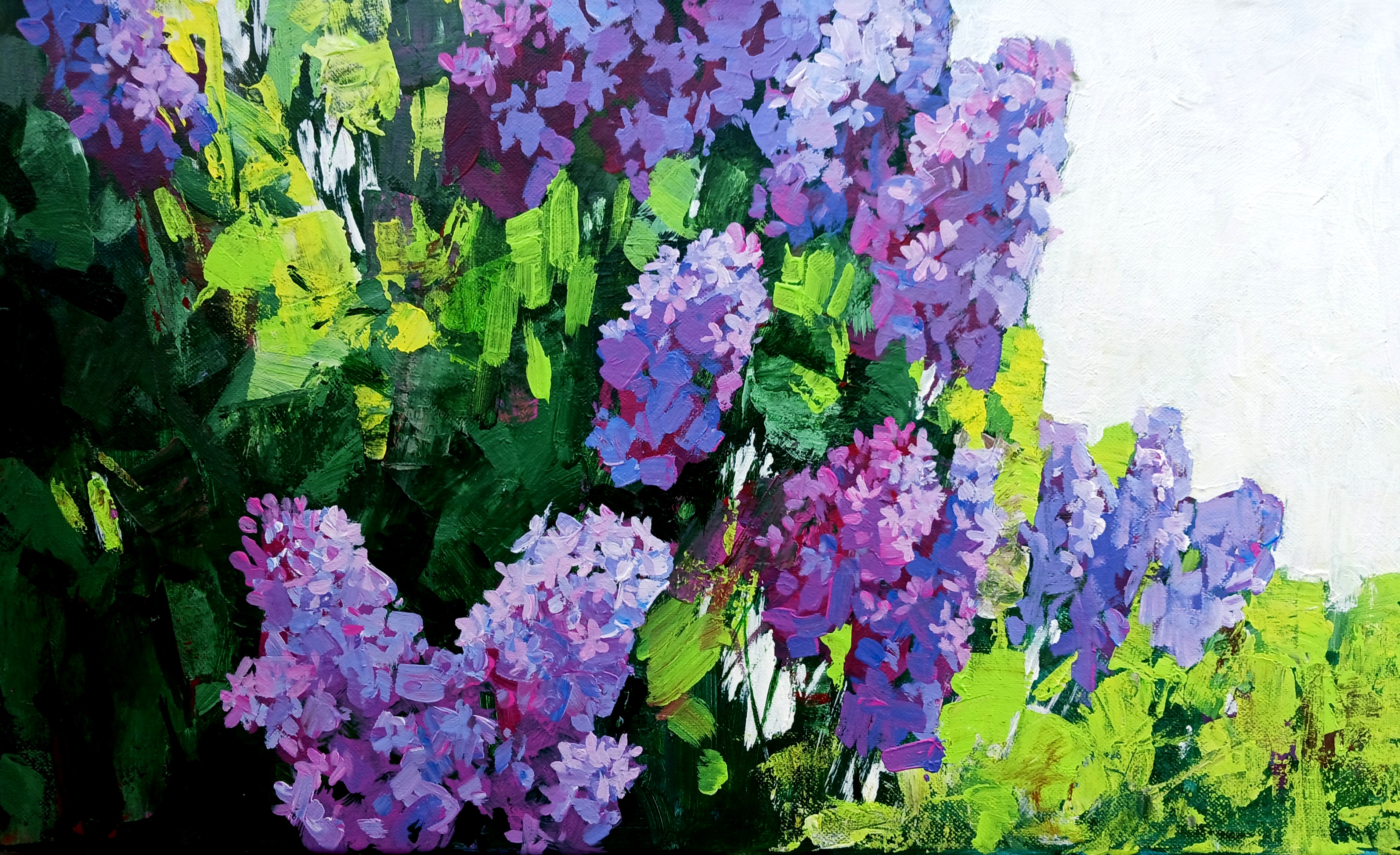 Lilas sur toile 100 N�mes (30)
