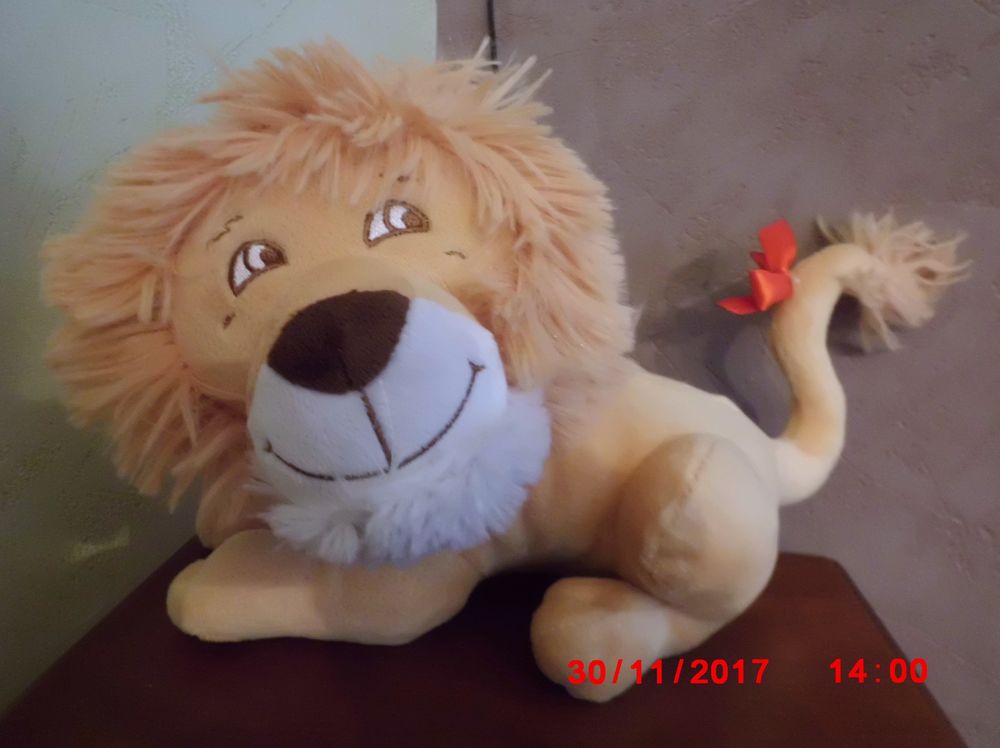 LION DOHO 16 Oignies (62)