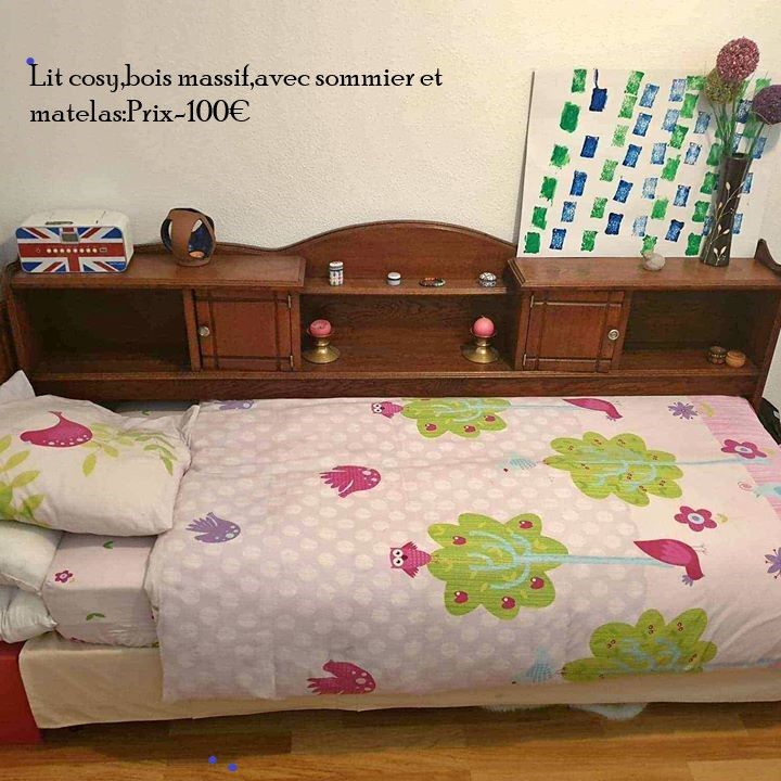 LITS EN BOIS MASSIF 0 Jeuxey (88)