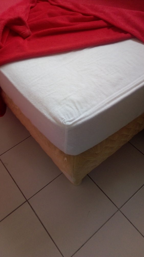 2 lits d une personnes 100 Saint-Pargoire (34)