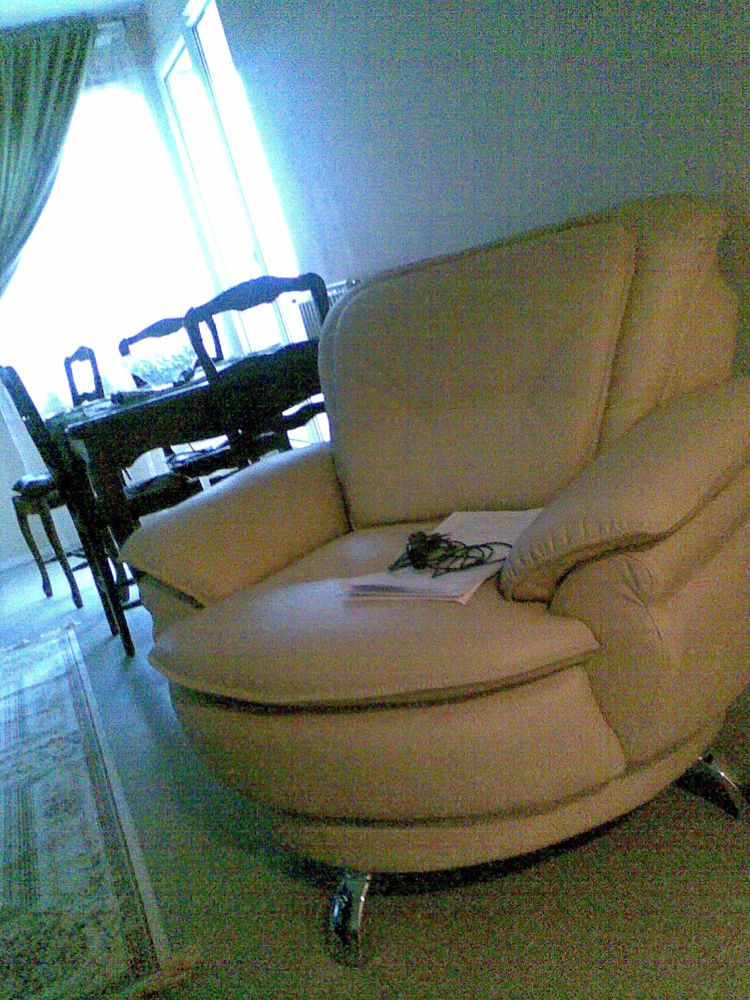 Living cuir design avec c�t�s tournants 1200 Clermont-Ferrand (63)