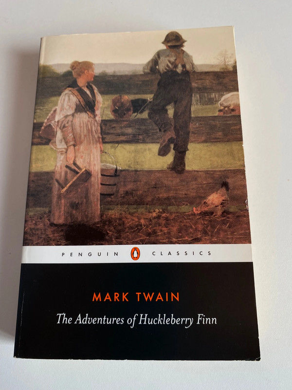 Livre The Adventures of Huckleberry Finn 10 Strasbourg (67)