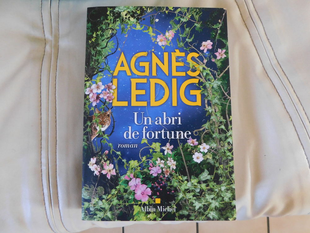 Livre Agn�s LEDIG  un abri de fortune  10 Montregard (43)