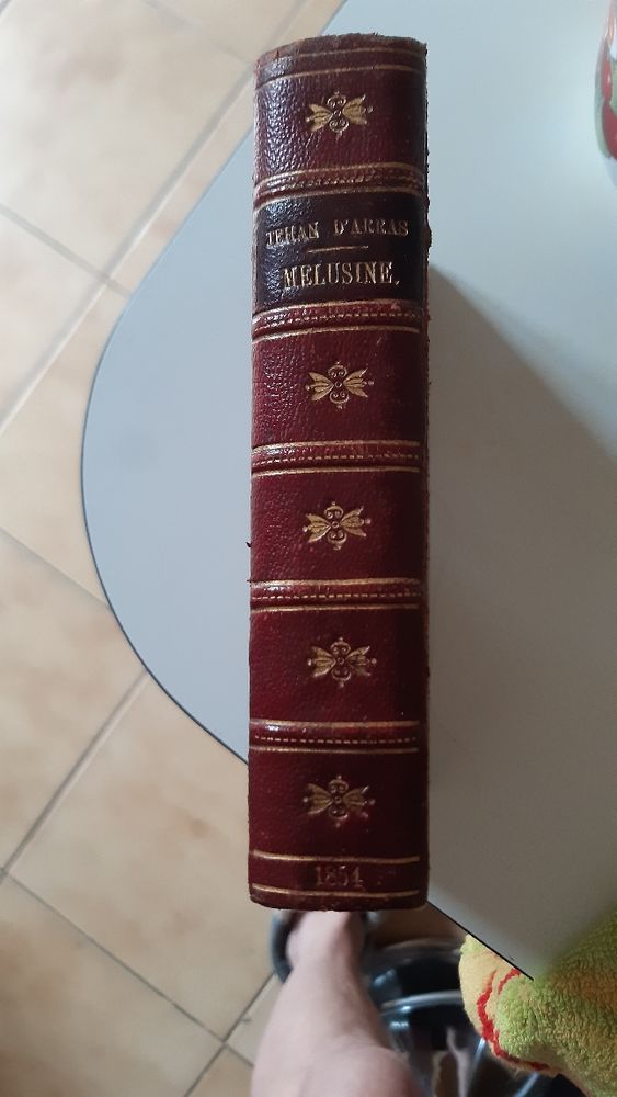 livre ancien cuir 40 �zanville (95)