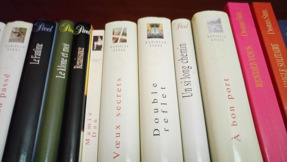 livre  auteur  m�langer  danielle steel 2 Bruges (33)