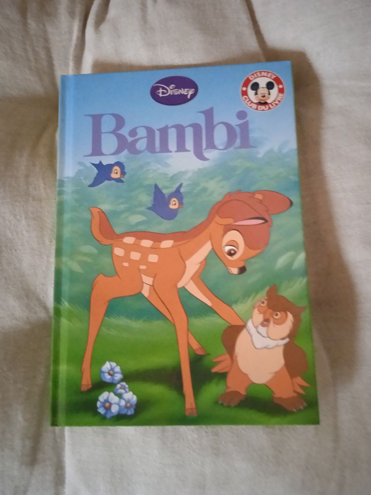 Livre Bambi
2012 15 Talange (57)