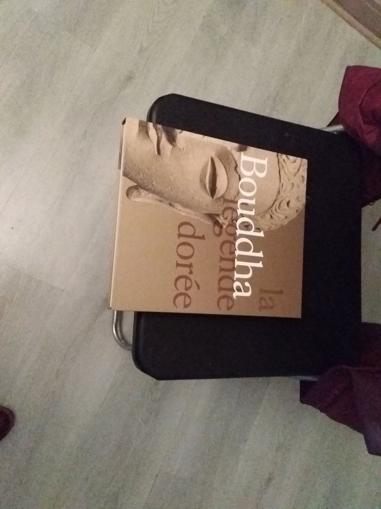 livre boudha 15 Ris-Orangis (91)