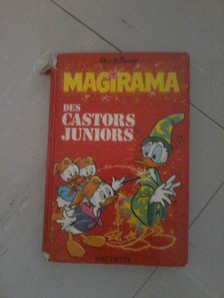 Livre des castor pour enfants 3 Tourcoing (59)