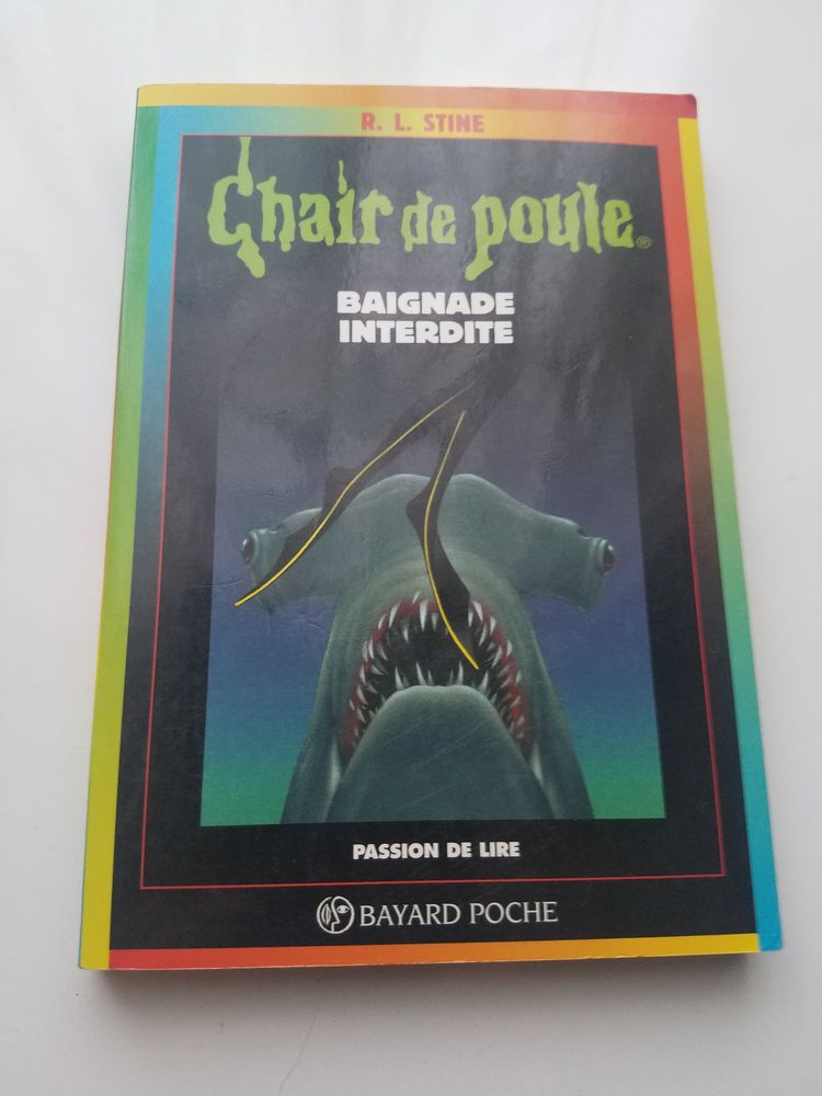 Livre Chair de Poule - Baignade interdite au format poche 2 La Chapelle-Saint-Luc (10)