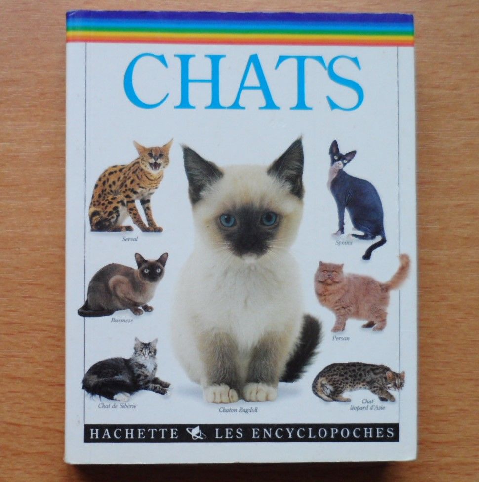 Livre chats 1 Valenciennes (59)