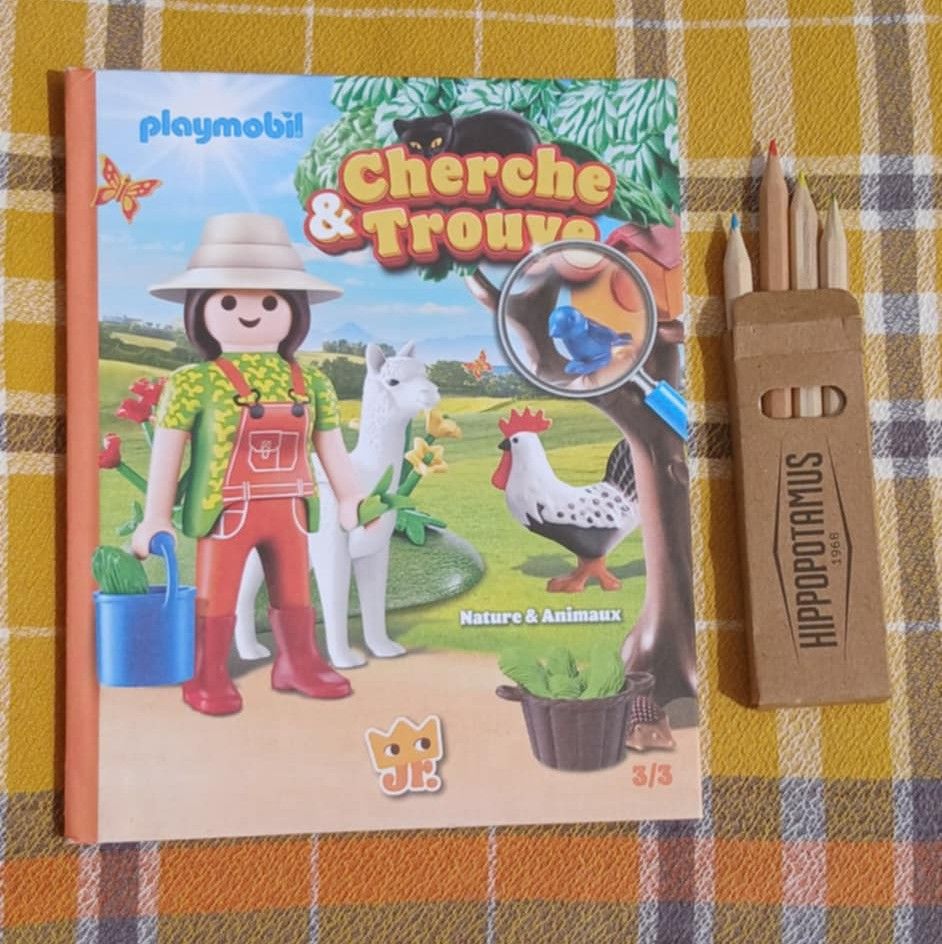 Livre   Cherche & Trouve / Playmobil   1 La Fert�-Alais (91)