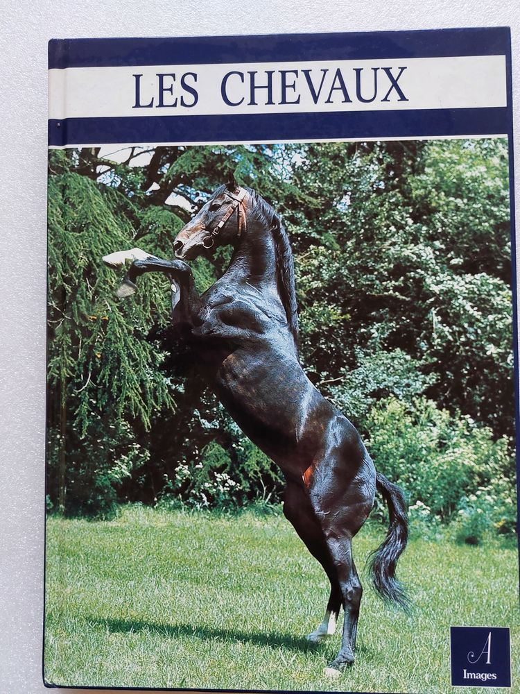 Livre Chevaux collection Images
0 Metz (57)