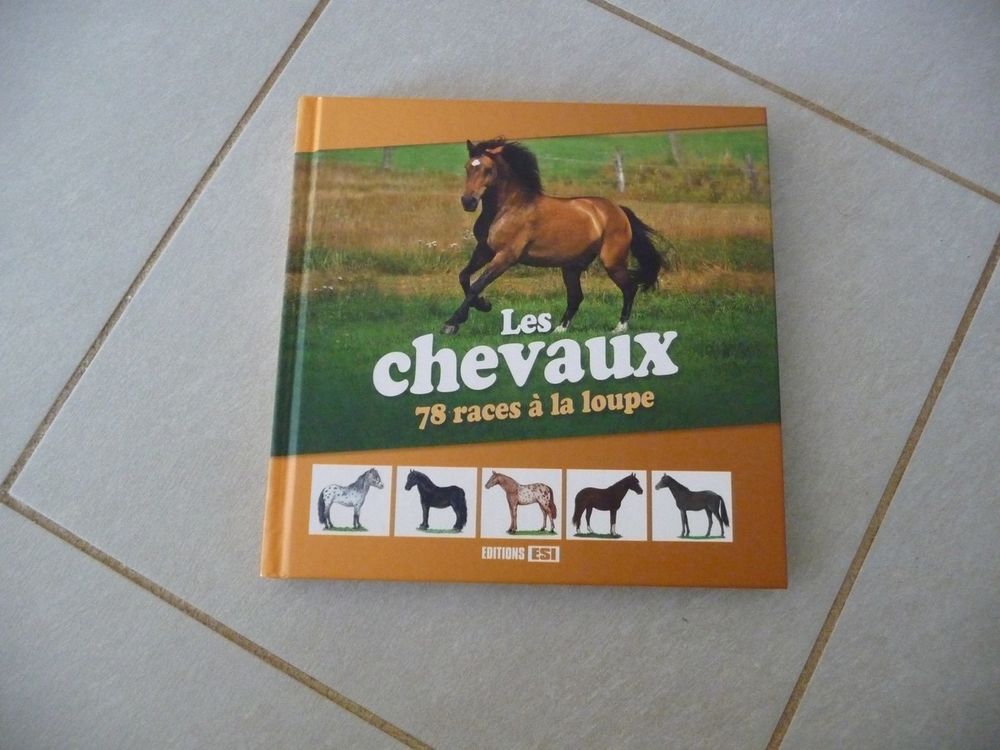 Livre  les chevaux 78 races � la loupe- Neuf 10 Celles-sur-Belle (79)