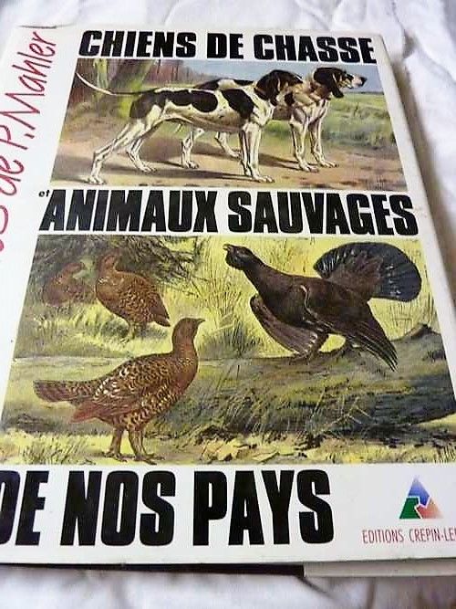  Livre chiens de Chasse 15 Saint-M�dard-en-Jalles (33)