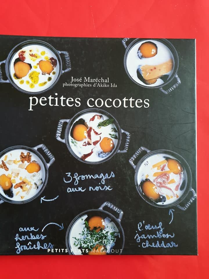 Livre de cuisine sympa le th�me les petites cocottes 5 Dourdan (91)