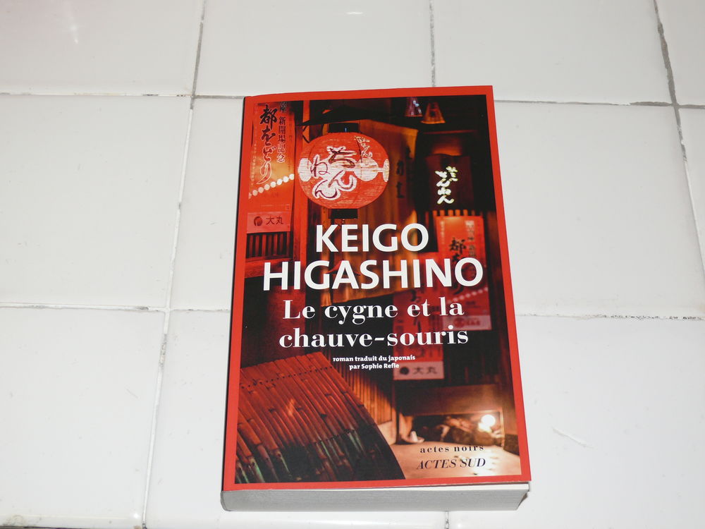 Livre :  Le cygne et la chauve-souris  4 Saintes (17)