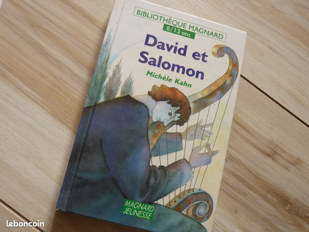 Livre David et salomon enfant/ ados tbe 2 Brienne-le-Château (10)